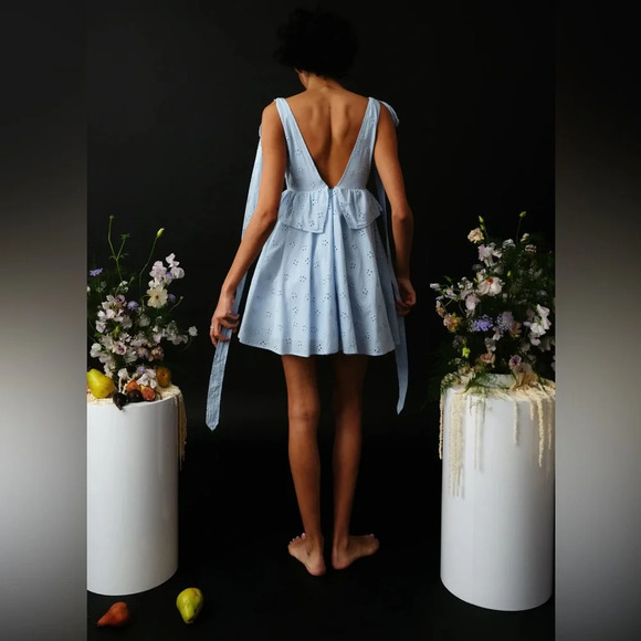 NWT Allina Liu Sammie Dress - Picture 3 of 9